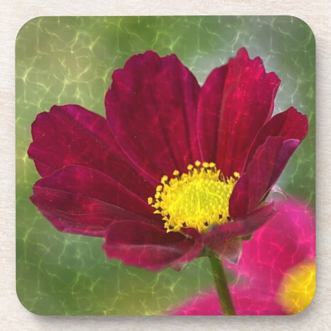 Porta-copo Cosmos Glory (Frente)