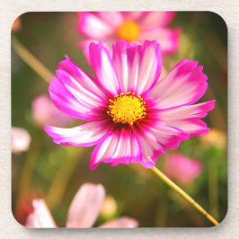 Porta-copo Cosmos rosa,Jardim de Algodão Rosalinde