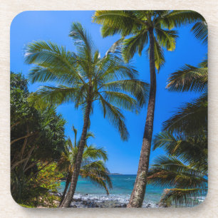 Porta-copo Costa tropical 2