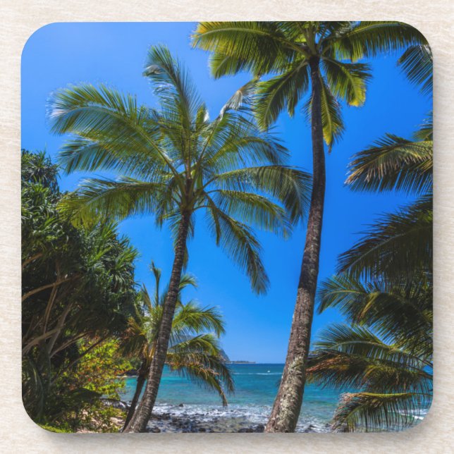 Porta-copo Costa tropical 2 (Frente)