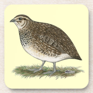 Porta-copo Coturnix Quail Hen