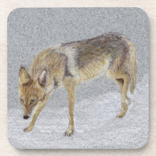 Porta-copo Coyote