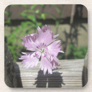 Porta-copo Cravo-da-índia cor-de-rosa dos banhos na cerca