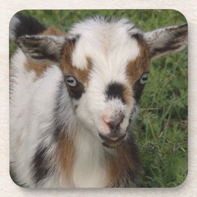 Porta-copo Criança Leiteira de Cabra Níger Colorida (Frente)