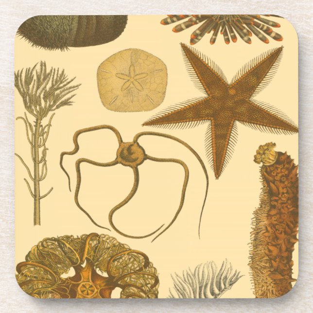 Porta-copo Criaturas do Mar Subaquático (Frente)