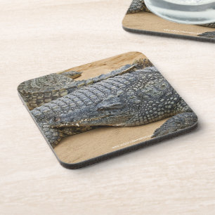 Porta-copo Crocodilos