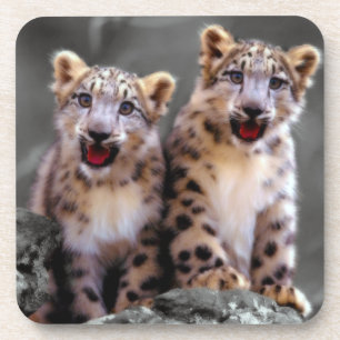 Porta-copo Cubos-leopardo-da-neve