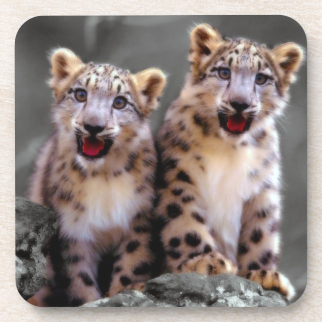 Porta-copo Cubos-leopardo-da-neve (Frente)
