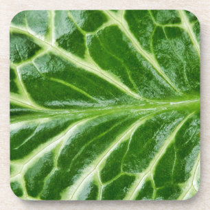 Porta-copo Cuckoo Pint Plant