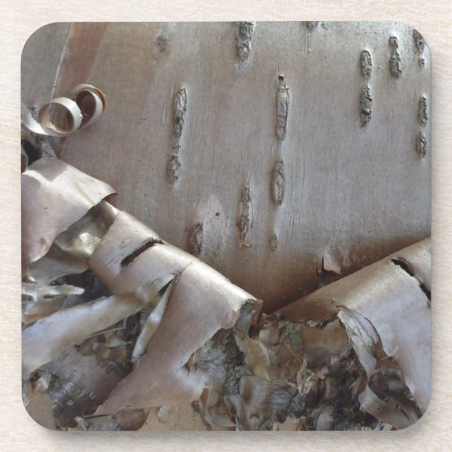 Porta-copo Curly Birch Bark Tree Rustic (Frente)