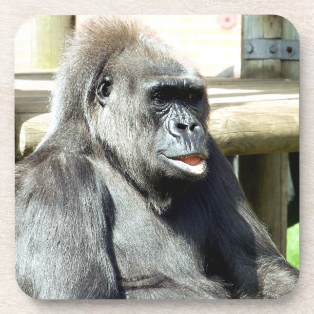 PORTA-COPO CUTE GORILLA (Frente)