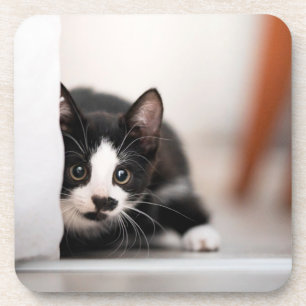 Porta-copo Cutest Baby Animals   Black & White Kitten