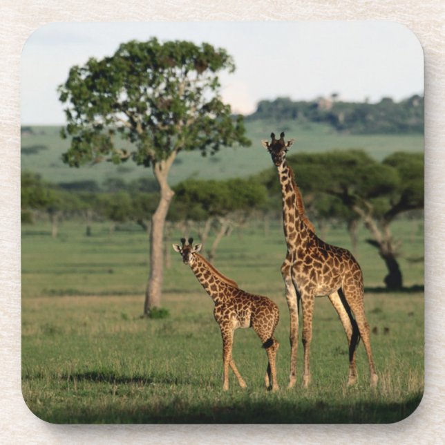 Porta-copo Cutest Baby Animals | Giraffe Calf & Mama (Frente)