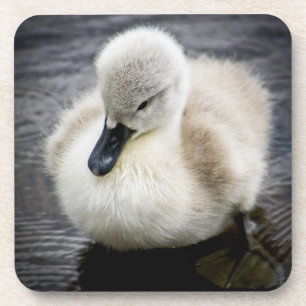 Porta-copo Cygnet da cisne do bebê