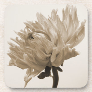 Porta-copo dahlia sepia impressão