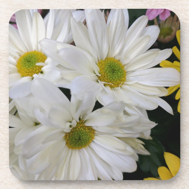 Porta-copo Daisy (Frente)