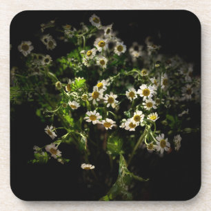 Porta-copo Daisy, Flower, Bellis perennis