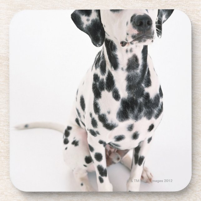 Porta-copo Dalmatian (Frente)