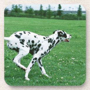 Porta-copo Dalmatian