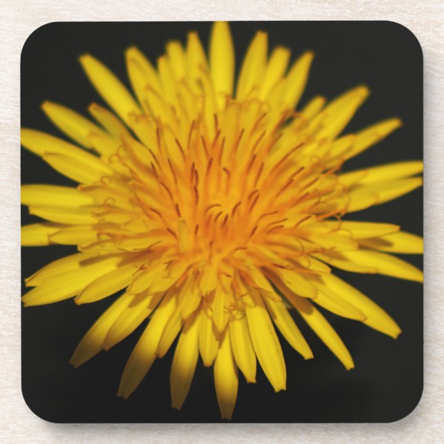 Porta-copo Dandelion (Frente)