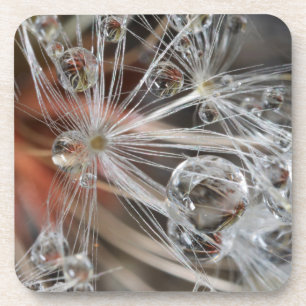 Porta-copo Dandelion Abstrato