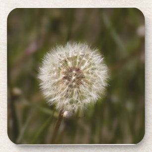 Porta-copo Dandelion Cork