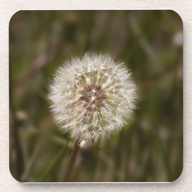 Porta-copo Dandelion Cork (Frente)