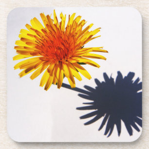 Porta-copo Dandelion e o litoral sombra