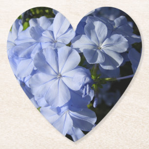 Porta-copo De Papel Acry de Portas copos de Cushion Flor de Plumbago A