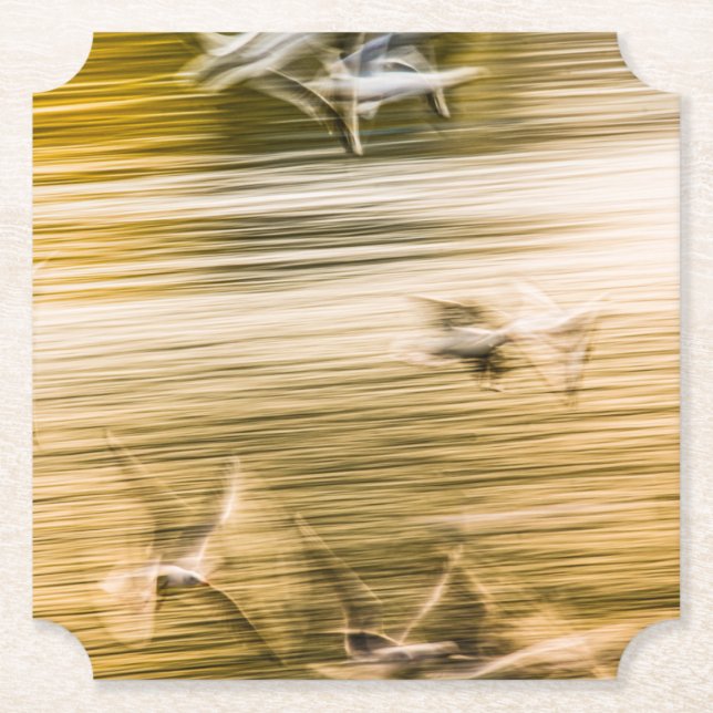 Porta-copo De Papel Agulhas voadoras - abstrato (Frente)