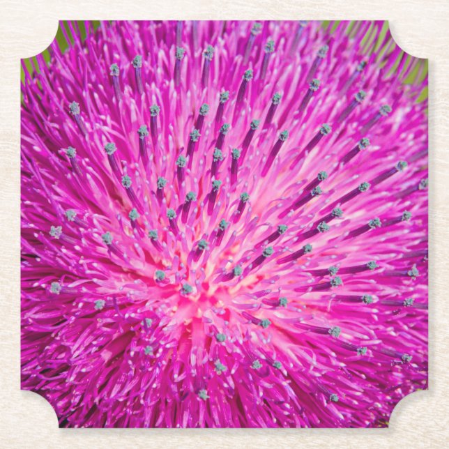 Porta-copo De Papel Aperto do caroço do leite (Frente)