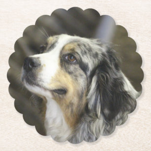 Porta-copo De Papel Aussie