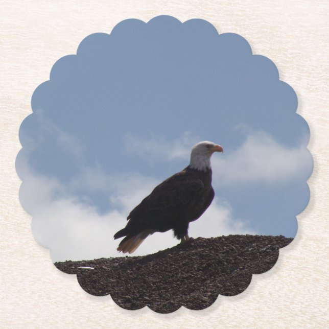 Porta-copo De Papel Bald Eagle Paper Coasters (Frente)