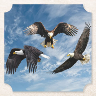 Porta-copo De Papel Bald Eagle Soaring