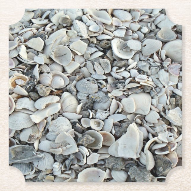 Porta-copo De Papel Beachcomber Shell Scatter (Frente)