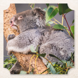 Porta-copo De Papel Bela coala