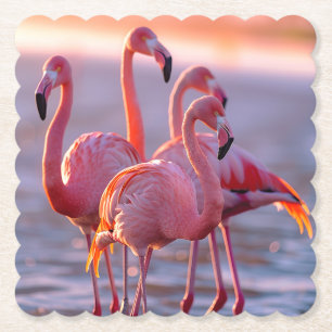 Porta-copo De Papel Belos Flamingos Rosa Tropicais