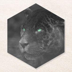 Porta-copo De Papel Black Jaguars Emerald Gaze