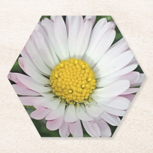 Porta-copo De Papel Bonito margarida
