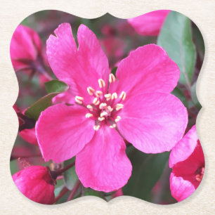Porta-copo De Papel Caranguejo-Flor Rosa