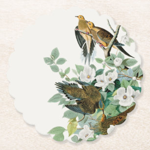 Porta-copo De Papel Carolina Turtle Dove, Birds da América por John J