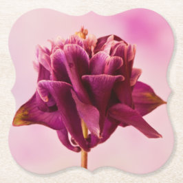 Porta-copo De Papel Columbina Rosa Burgundy