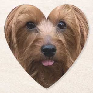 Porta-copo De Papel Crie seu próprio cão Foto personalizada Pet Pupp
