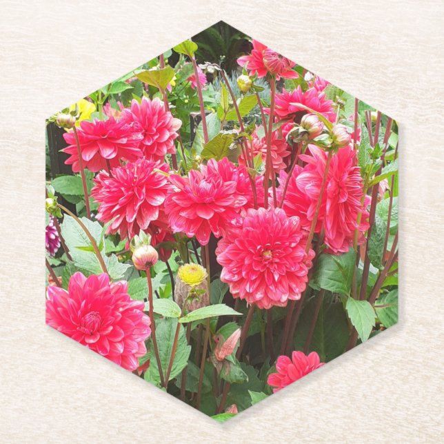 Porta-copo De Papel Dahlias Rosa Profundo (Frente)
