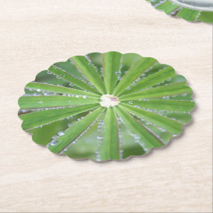 Porta-copo De Papel Dewdrop