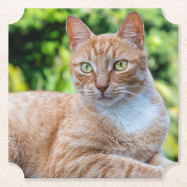 Porta-copo De Papel Doce gatinho