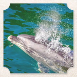 Porta-copo De Papel Dolphin In Milford Sound, Nova Zelândia