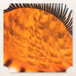 Porta-copo De Papel Enxertia em rede