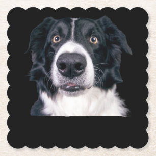 Porta-copo De Papel Face de Cachorro Preto e Branco