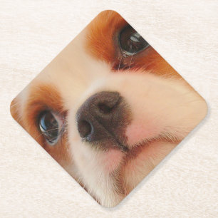Porta-copo De Papel Face de Puppy